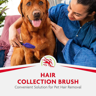 Furminator Hair Collection Brush