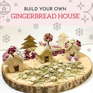 No Furries Delights Small Animal Gingerbread House Kit