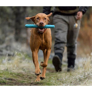 Ruffwear Gnawt-a-Stick