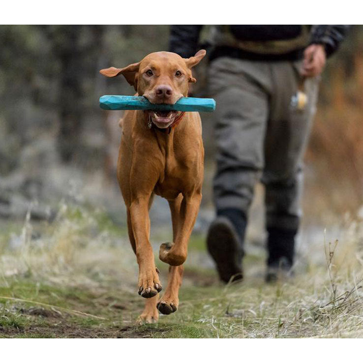 Ruffwear Gnawt-a-Stick