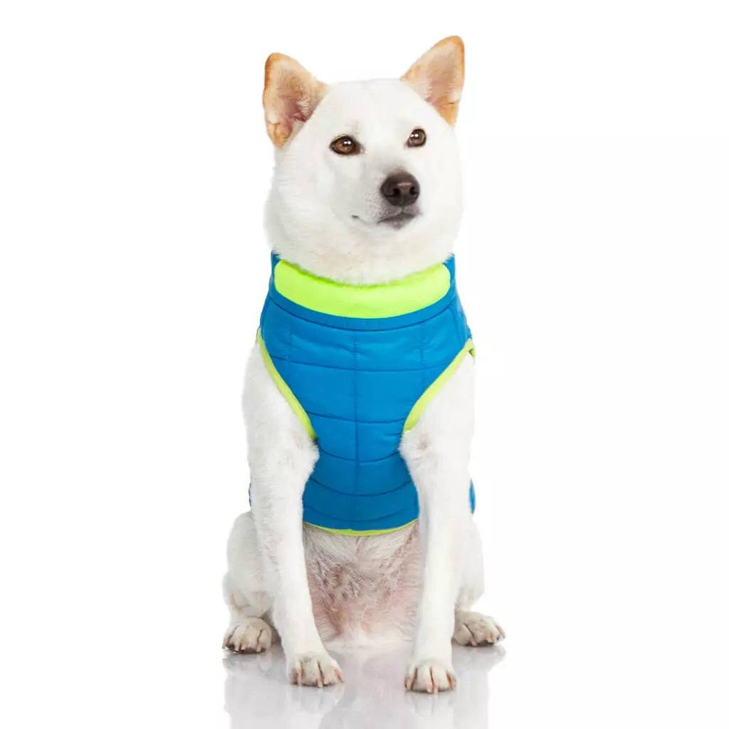 Gooby Comfort Vest