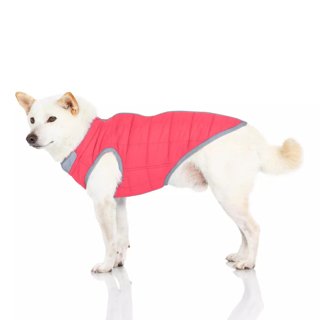Gooby Comfort Vest