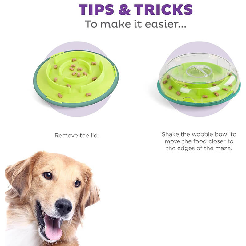 Outward Hound Nina Ottosson Wobble Bowl
