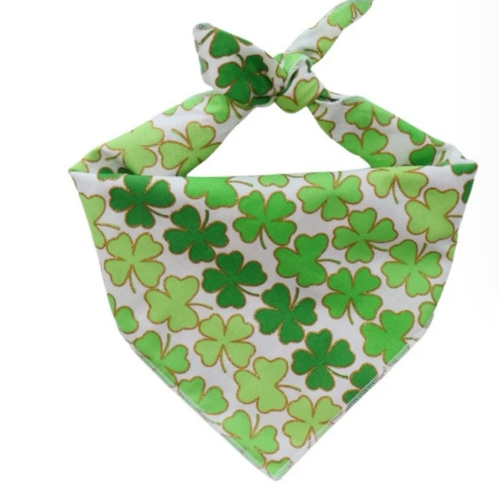 Dapper Dexter Clovers Bandana