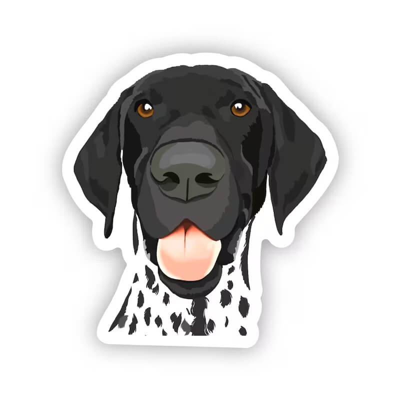 Happy Sploot Designs Vinyl Sticker - German Shorthaired Pointer