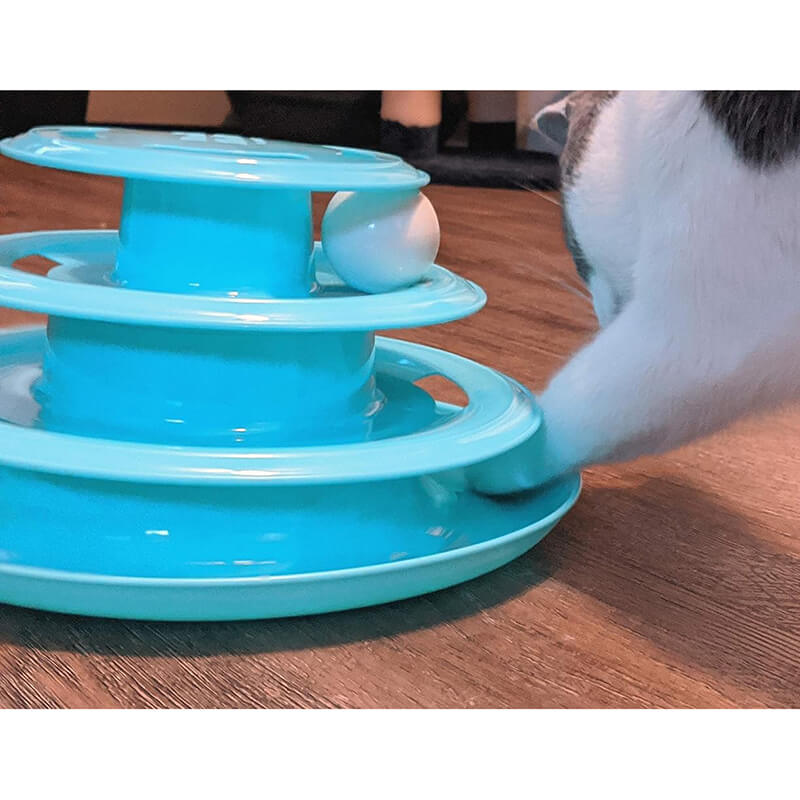 Doc & Phoebe Forever Fun Treat Track