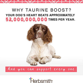 Herbsmith Taurine Boost Powder for Dogs and Cats