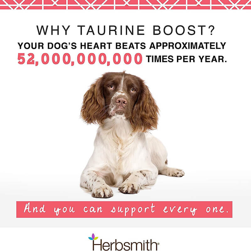 Herbsmith Taurine Boost Powder for Dogs and Cats