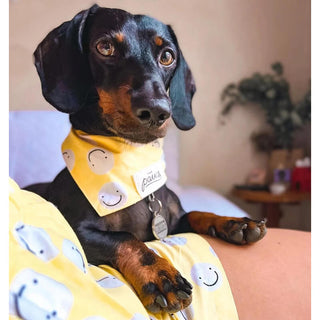 The Paws Bandana - Friends