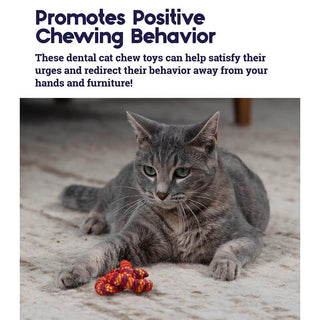 Petstages Plaque Away Pretzel Cat Chew Toy