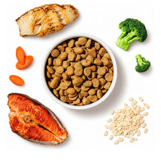 Honest Kitchen Clusters Whole-Grain Salmon & Whitefish