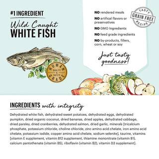 Honest Kitchen Dehydrated Grain-Free Fish