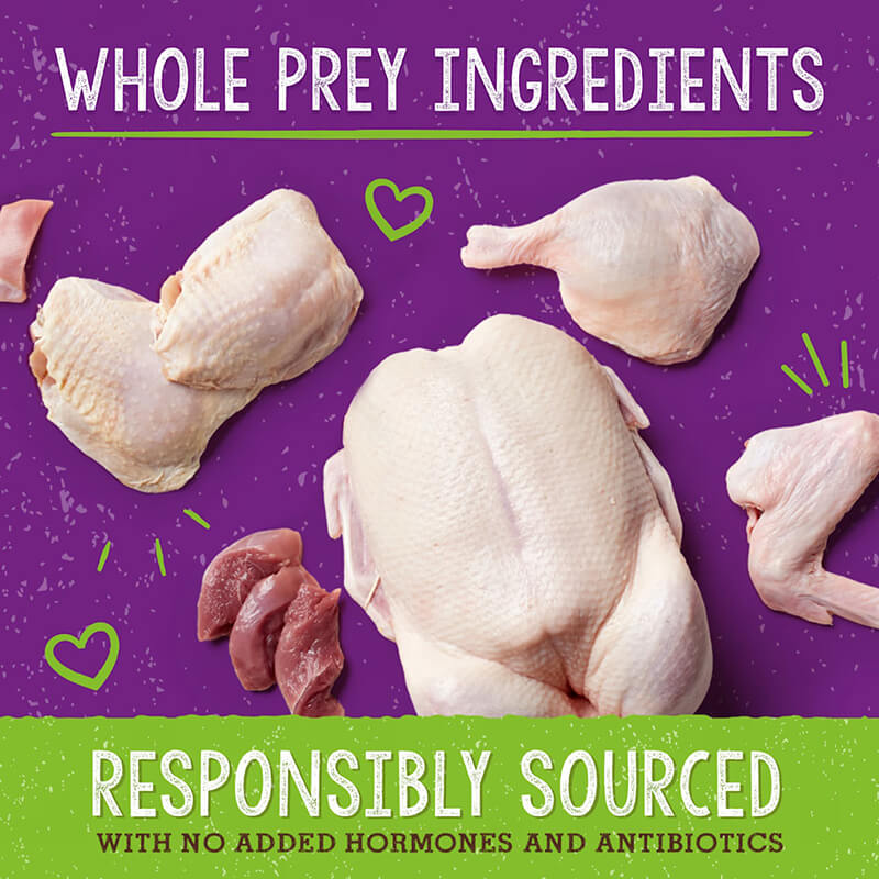 Stella & Chewy's Feline Dinner Morsels Duck Duck Goose