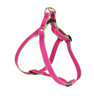 Up Country Color Market Harness