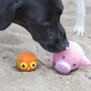 HuggleHounds Ruff-Tex Hamlet Pig