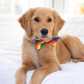 Huxley & Kent Bow Tie Equality