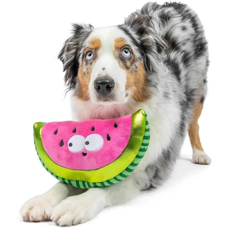 Huxley & Kent Fetchies Walter-Melon