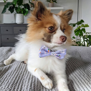 Huxley & Kent Funny Bunny Bow Tie