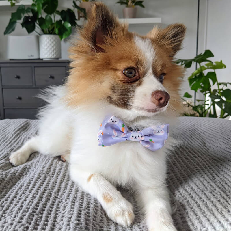 Huxley & Kent Funny Bunny Bow Tie