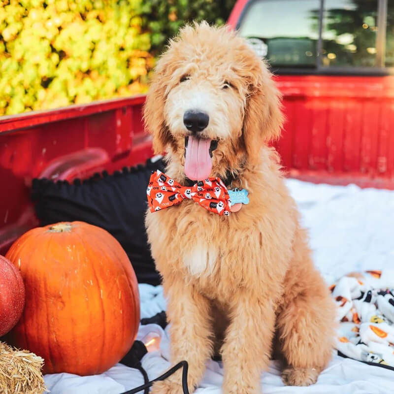Huxley & Kent Ghostbusters Bow Tie