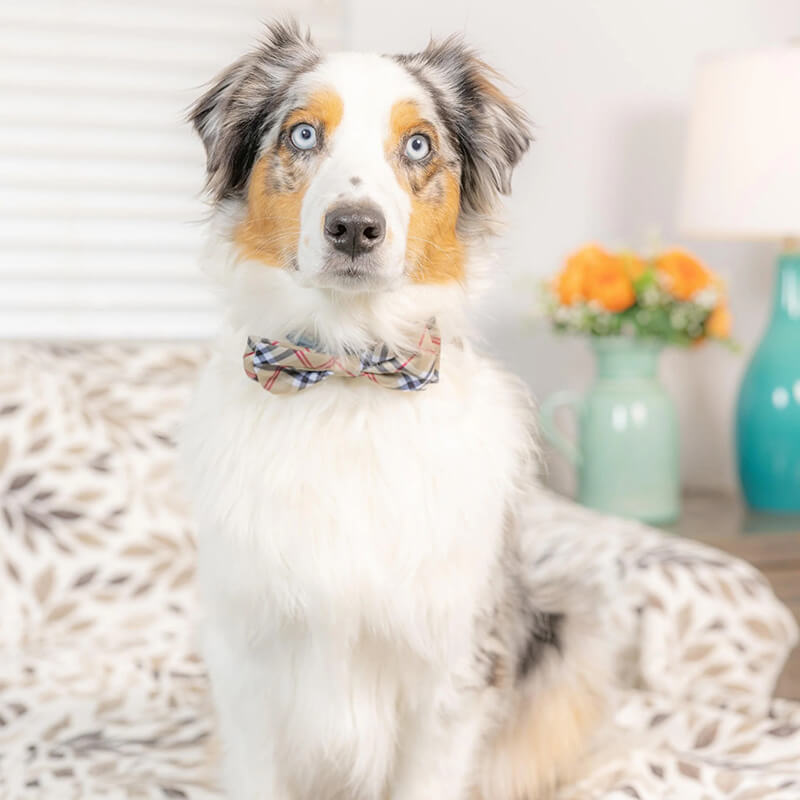 Huxley & Kent High Street Plaid Bow Tie