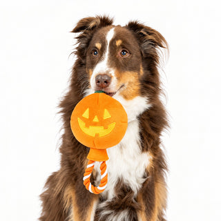 Huxley & Kent Power Plush Jack O Lantern Safety Pop