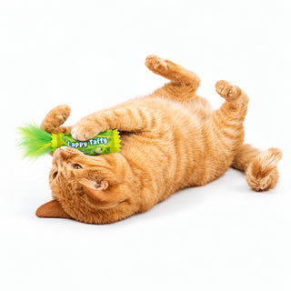 Huxley & Kent Lappy Taffy Cat Toy