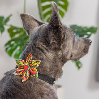 Huxley & Kent Leaves & Nuts Pinwheel