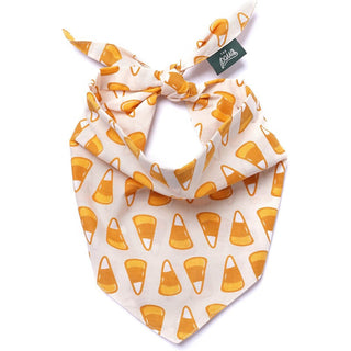 The Paws Bandana - Halloween Candy Corn