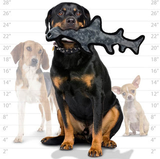 Tuffy® Ocean Hammerhead