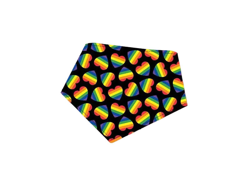 Bibby Bubby Bandana - Pride
