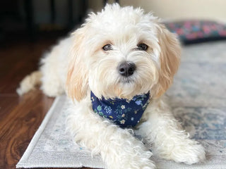 Bibby Bubby Flannel Bandana - Lavender Cream Plaid