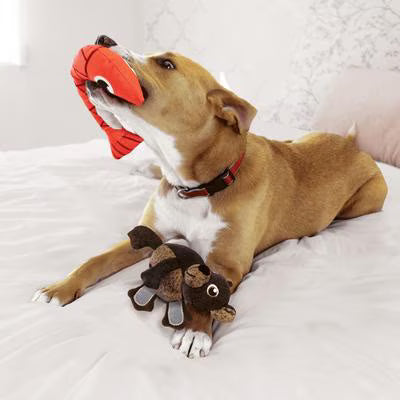 Kong Pull-A-Partz Bear