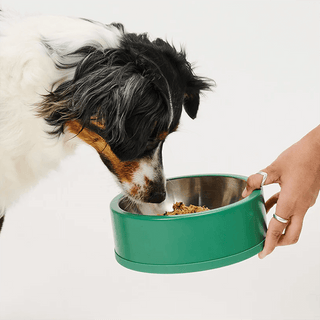 My Perfect Pet Gently-Cooked Low-Glycemic Pork