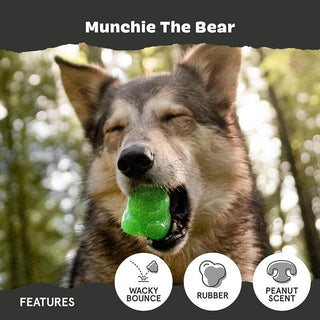 BARK Super Chewer Munchie The Bear