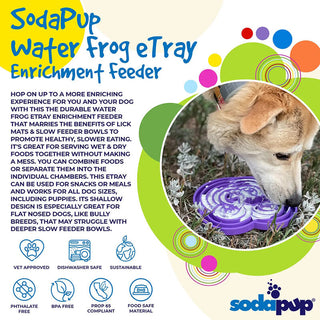 Sodapup Frog Design Enrichment Tray
