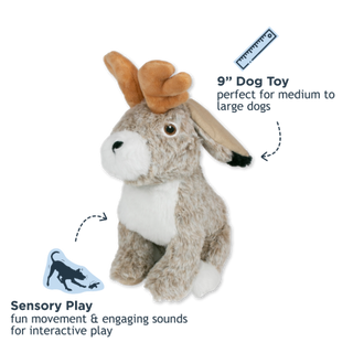 Tall Tails Twitchy Jackalope