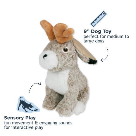 Tall Tails Twitchy Jackalope