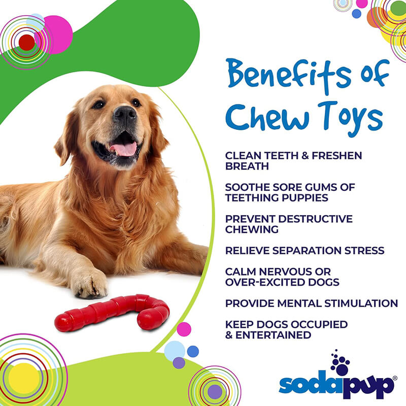 SodaPup Durable Nylon Candy Cane Chew Toy