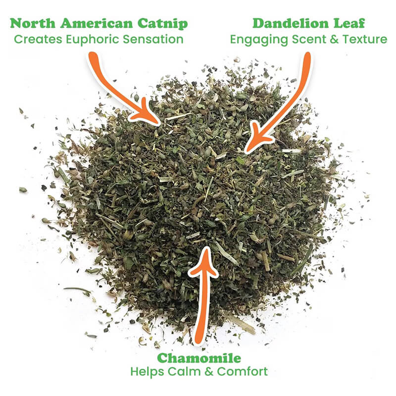 Meowijuana Whisker Tickler Catnip, Chamomile and Dandelion Blend