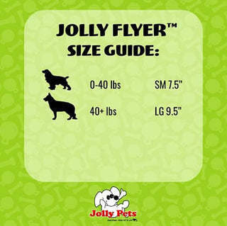 Jolly Pets Flyer
