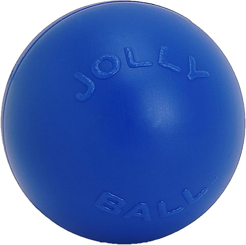 Jolly Pets Push-N-Play