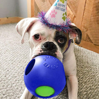 Jolly Pets Teaser Ball