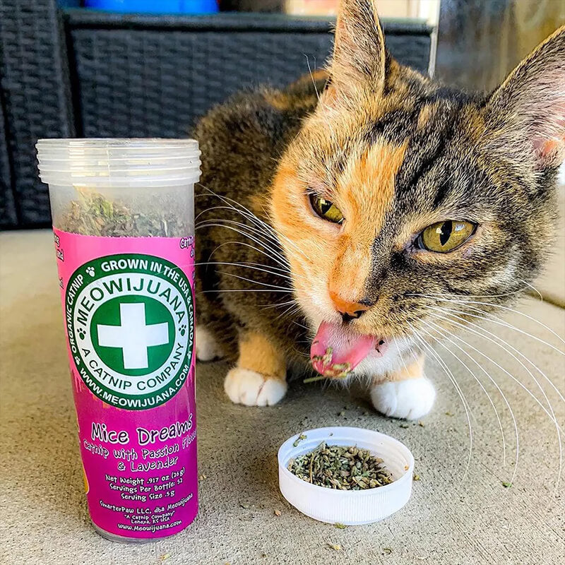 Meowijuana Mice Dreams Catnip With Passion Flower & Lavender