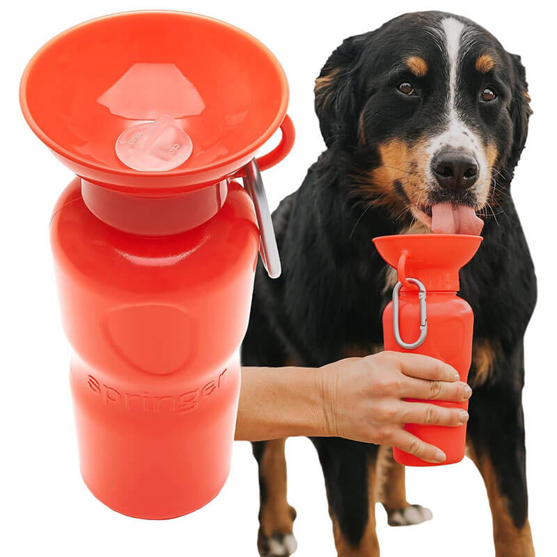 Springer Classic Dog Water Travel Bottle