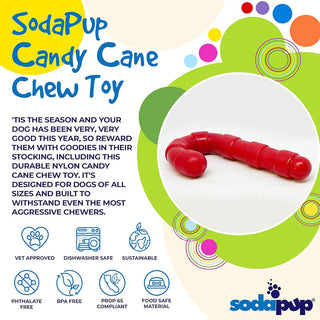 SodaPup Durable Nylon Candy Cane Chew Toy