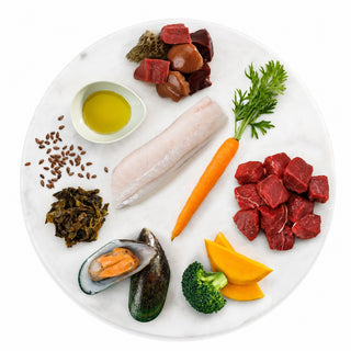 K9 Natural Beef & Hoki Feast Freeze-Dried Dog Food