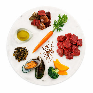 K9 Natural Beef Feast Freeze-Dried Dog Food