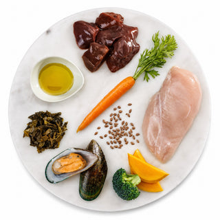 K9 Natural Cage-Free Freeze Dried Chicken Feast