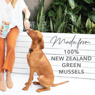 K9 Natural Freeze-Dried Green Lipped Mussel Treat